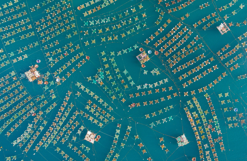 Imagen: Trung / Skypixel